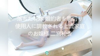 落ちた花嫁 婚約者を裏切り使用人に調教される上流家庭のお嬢様 二宮和香