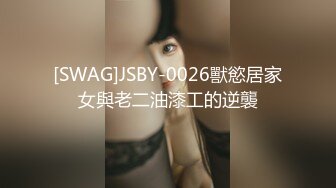 [SWAG]JSBY-0026獸慾居家女與老二油漆工的逆襲