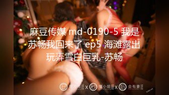 麻豆传媒 md-0190-5 我是苏畅我回来了 ep5 海滩露出玩弄雪白巨乳-苏畅