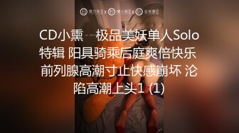 CD小熏✨ 极品美妖单人Solo特辑 阳具骑乘后庭爽倍快乐 前列腺高潮寸止快感崩坏 沦陷高潮上头1 (1)