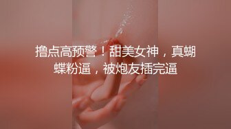 @116英国金发白虎