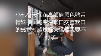 南阳调教骚母狗（一）-同事-妹妹-长腿-女仆-换妻