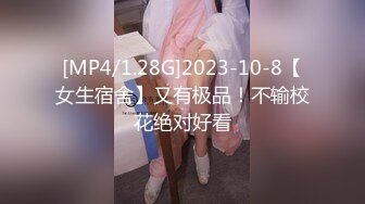 【麻豆传媒】tz-155 应召女郎上门服务-竹下麻衣