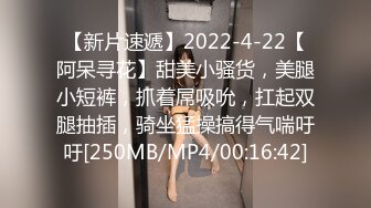 【新片速遞】2022-4-22【阿呆寻花】甜美小骚货，美腿小短裤，抓着屌吸吮，扛起双腿抽插，骑坐猛操搞得气喘吁吁[250MB/MP4/00:16:42]