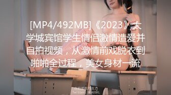 国产麻豆AV MDS MDSP0005