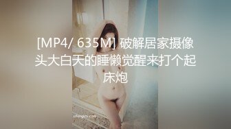 小玩具插老婆