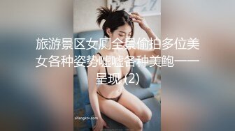 旅游景区女厕全景偷拍多位美女各种姿势嘘嘘各种美鲍一一呈现 (2)