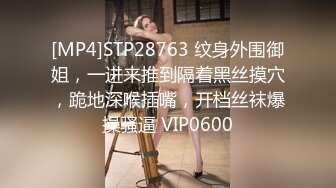 [MP4]STP28763 纹身外围御姐，一进来推到隔着黑丝摸穴，跪地深喉插嘴，开档丝袜爆操骚逼 VIP0600