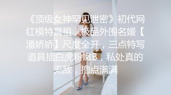 偷吃的好色女仆