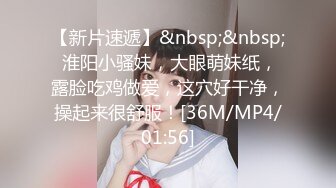 下集,小偷与租客的故事