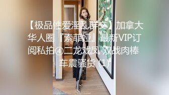 极品资源-欧美精品女优和系列射精片段23小时大合集【86V】 (22)