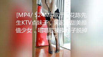 IDG5387 丹丹 上门女的职业精神 老子操完儿子约 爱豆传媒