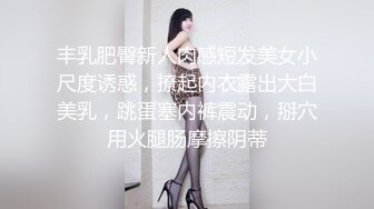 丰乳肥臀新人肉感短发美女小尺度诱惑，撩起内衣露出大白美乳，跳蛋塞内裤震动，掰穴用火腿肠摩擦阴蒂