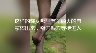 MD0161 吊丝逆袭攻略 看看骚男是如何把气质身材俱佳的成熟美女搞到手尽情享受 胸部白皙饱满鸡动【水印】