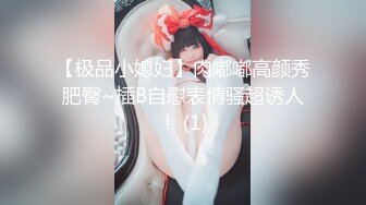 巨乳列传 - 第五部 - 乳之圣殿 各种巨乳第一视角