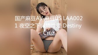 国产麻豆AV 麻豆US LAA0021 夜空之下纵情性爱 Destiny Cruz