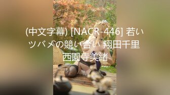 (中文字幕) [NACR-446] 若いツバメの競い合い 翔田千里 西園寺美緒