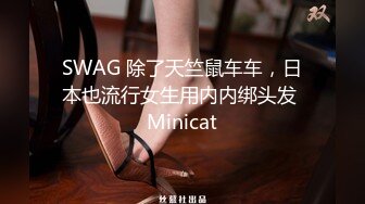 SWAG 除了天竺鼠车车，日本也流行女生用内内绑头发 Minicat