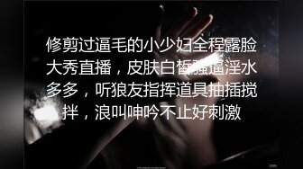 [MP4]啪啪列车深夜捷运末班车行驶车厢内的两名陌生男子