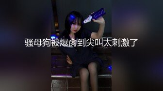 (麻豆傳媒)(ltv-0040)(20230120)欲不可縱-南芊允、賴畇希