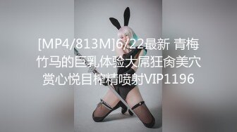 [2DF2]泡良达人和出轨人妻酒店开房实录，调情聊天啪啪干柴烈火好激情，良家偷窥别有一番风味 [MP4/381MB][BT种子]