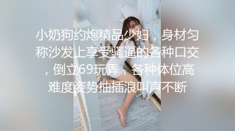 IDG5423 爱豆传媒 我的反差婊相亲对象