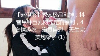 Al&mdash;张钧宁女仆内射