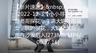 【新片速遞】&nbsp;&nbsp; 2022-12-3【小小寻花】新晋老哥探花，丰满大奶外围骚女，玩的很花，大奶子乳交，跪在沙发后入[273MB/MP4/00:37:16]