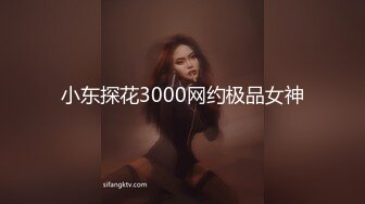 小东探花3000网约极品女神