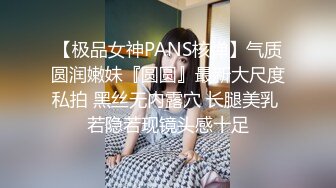 【极品女神PANS核弹】气质圆润嫩妹『圆圆』最新大尺度私拍 黑丝无内露穴 长腿美乳 若隐若现镜头感十足