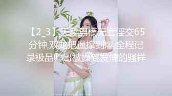 [MP4]麻豆传媒 MDHT-0005《奇淫旅社》肉棒和小穴的交谊聚会-宋南伊