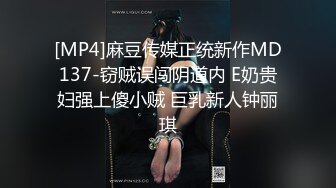 [MP4]麻豆传媒正统新作MD137-窃贼误闯阴道内 E奶贵妇强上傻小贼 巨乳新人钟丽琪