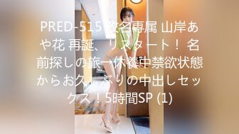 PRED-515 改名専属 山岸あや花 再誕、リスタート！ 名前探しの旅→休養中禁欲状態からお久しぶりの中出しセックス！5時間SP (1)